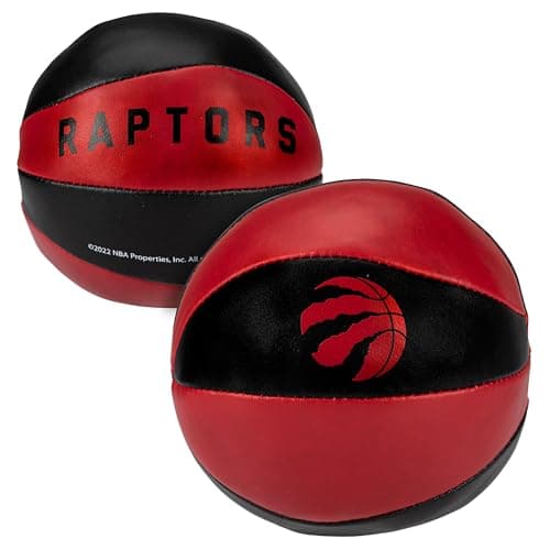 Toronto Raptors Kids Mini Basketballs - 2 Pack