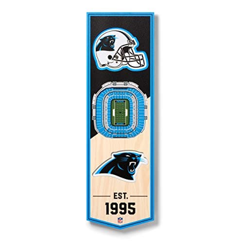 Carolina Panthers 3D Stadium Banner