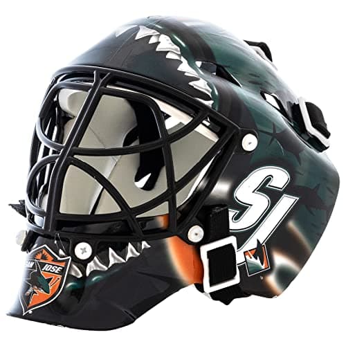 Dallas Stars Mini Goalie Mask