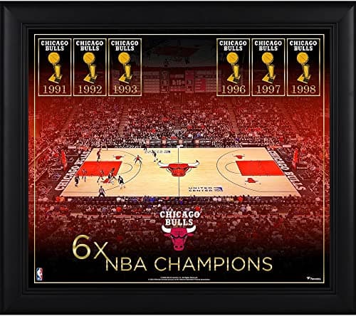 Chicago Bulls Championship Collage