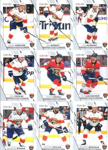 Florida Panthers 2023-24 Team Card Set