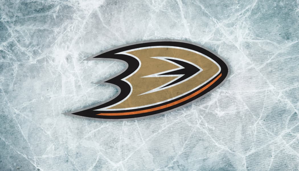 Anaheim Ducks Gift Guide