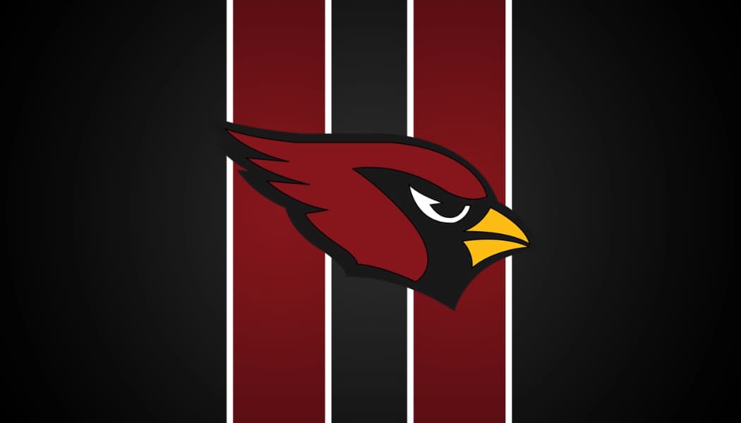 Arizona Cardinals Gift Guide