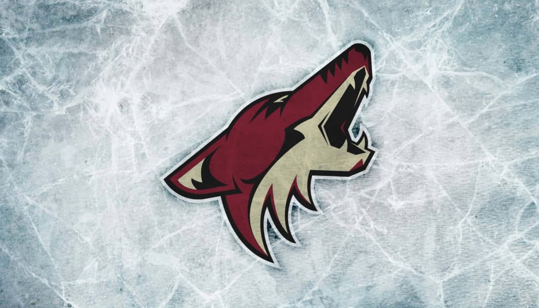 Arizona Coyotes Gift Guide