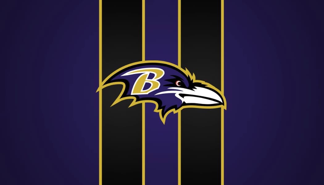 Baltimore Ravens Gift Guide