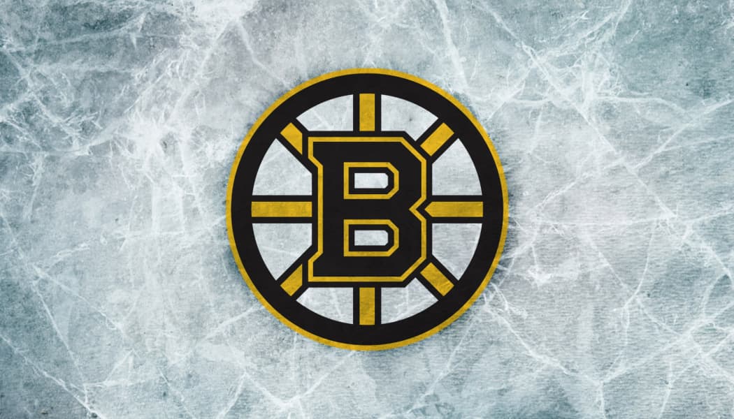 Boston Bruins Gift Guide
