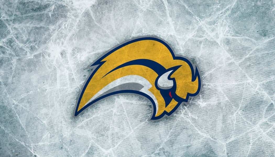 Buffalo Sabres Gift Guide