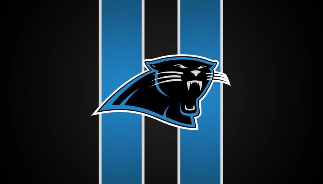 Carolina Panthers Gift Guide