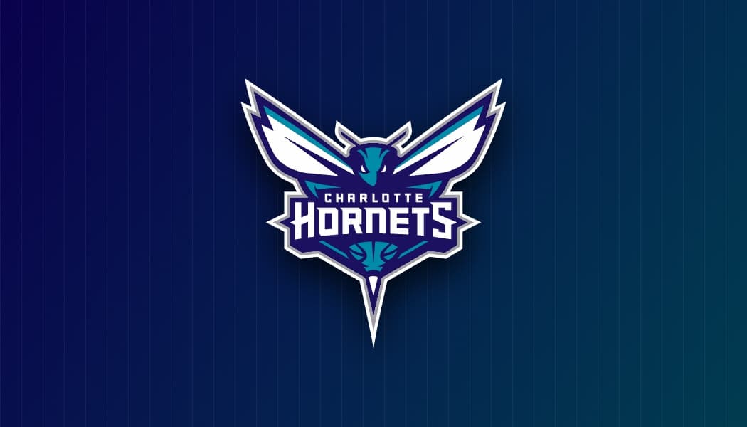 Charlotte Hornets Gift Guide