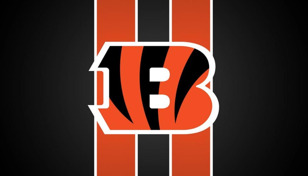 Cincinnati Bengals Gift Guide