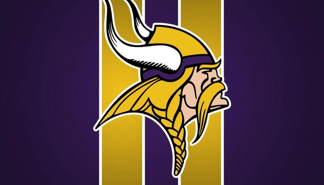 Minnesota Vikings Gift Guide