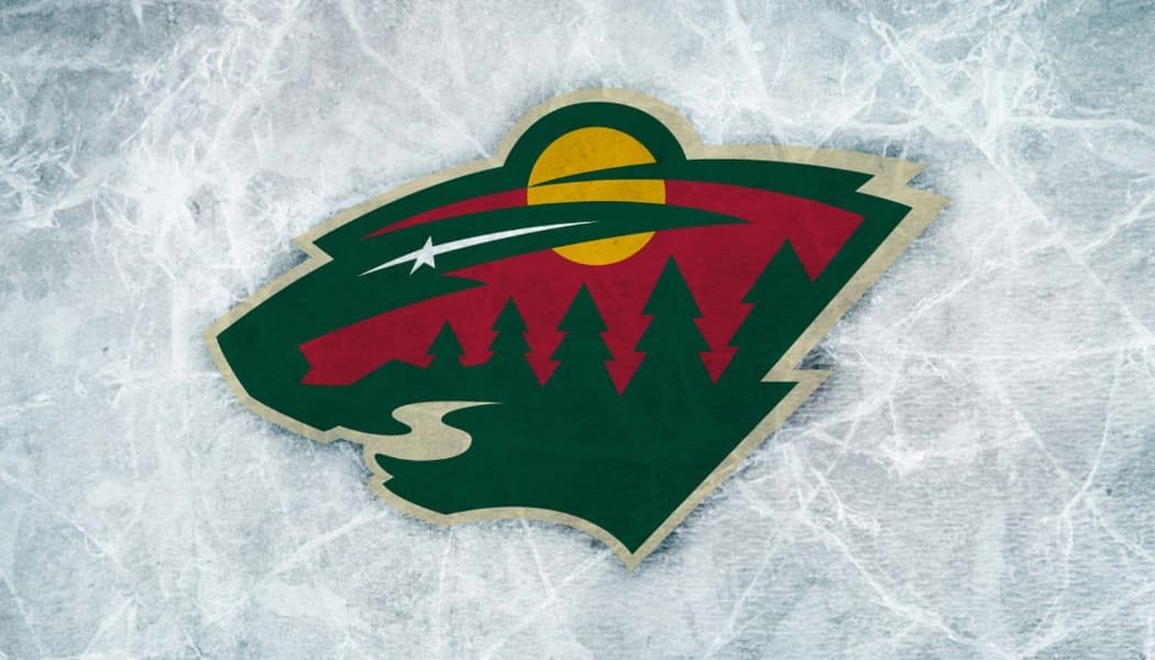 Minnesota Wild Gift Guide