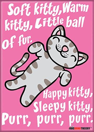 Soft Kitty magnet