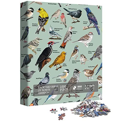 Backyard birds jigsaw puzzle