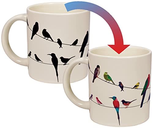 Birds on a Wire heat-changing mug