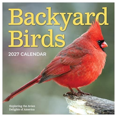 TF Publishing 2027 Backyard Birds wall calendar