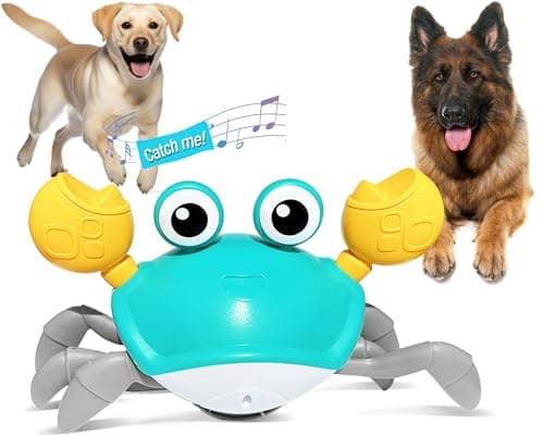Crawling Crab Interactive Dog Toy