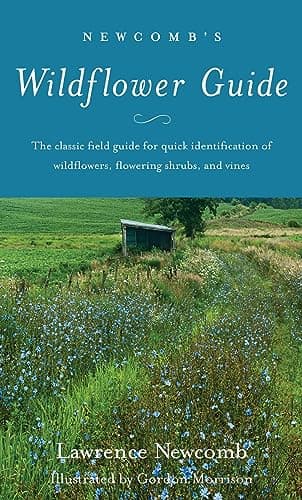 Newcomb’s Wildflower Guide