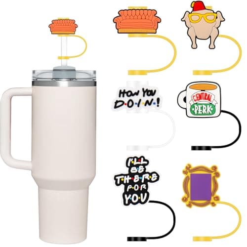 Friends Stanley Straw Cover Set