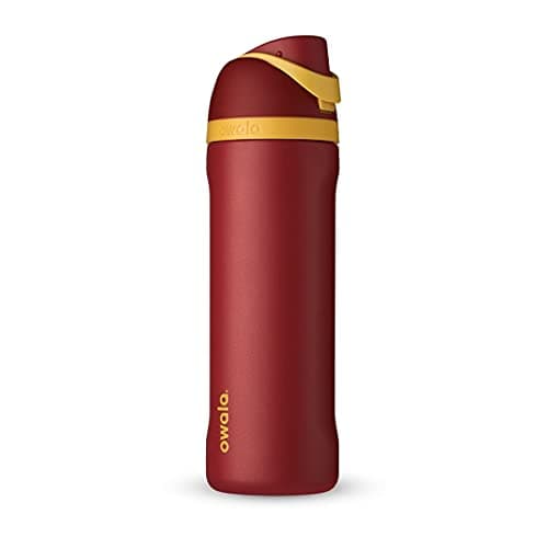 Harry Potter Gryffindor Insulated Water Bottle