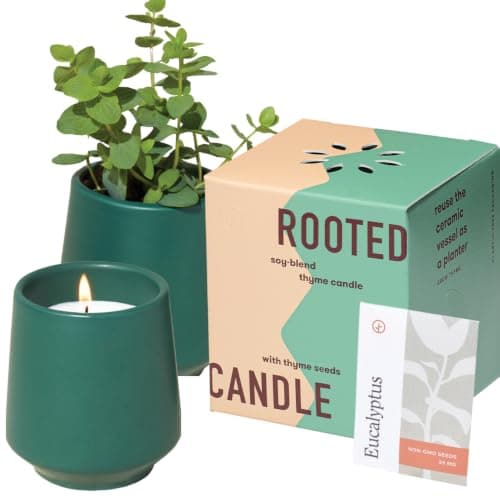 Modern Sprout Thyme Candle Planter