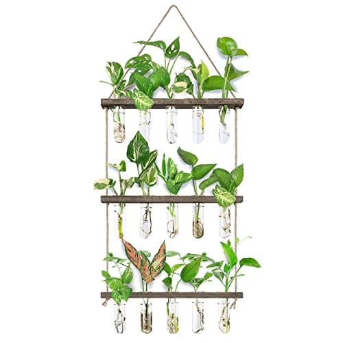 XXXFLOWER Wall Hanging Propagation Station