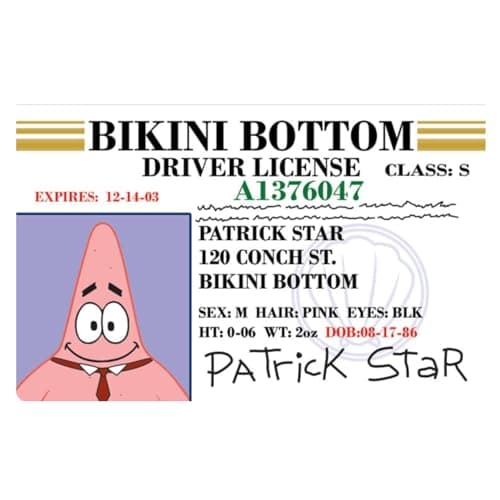 Patrick Star Novelty Driver's License Card