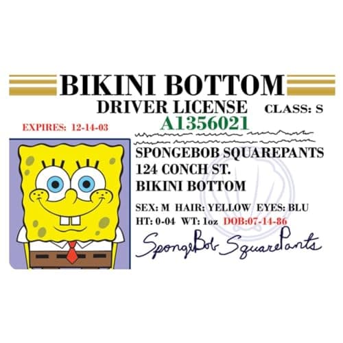 SpongeBob Novelty Driver's License Card